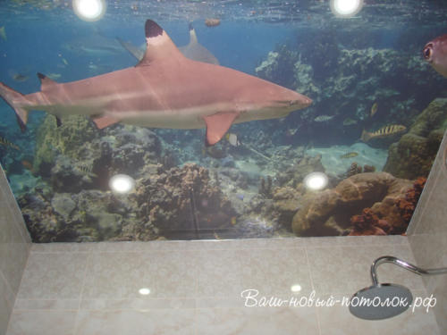 Фотопечать ПВХ, сатин